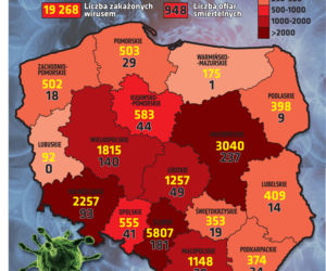 Koronawirus w Polsce. Województwa, stan na godz. 18 w dniu 19 maja
