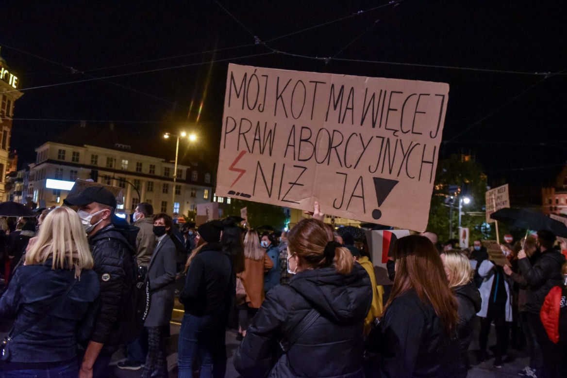 Protesty we Toruniu