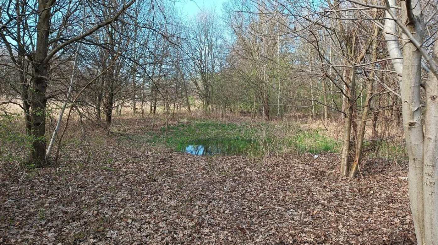 Miasto chwali się Parkiem Krzyckim. Na hucznym otwarciu mieszkańcy zastali plac budowy 