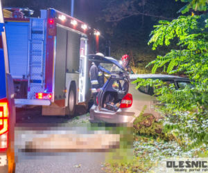 Śmiertelny wypadek pod Oleśnicą