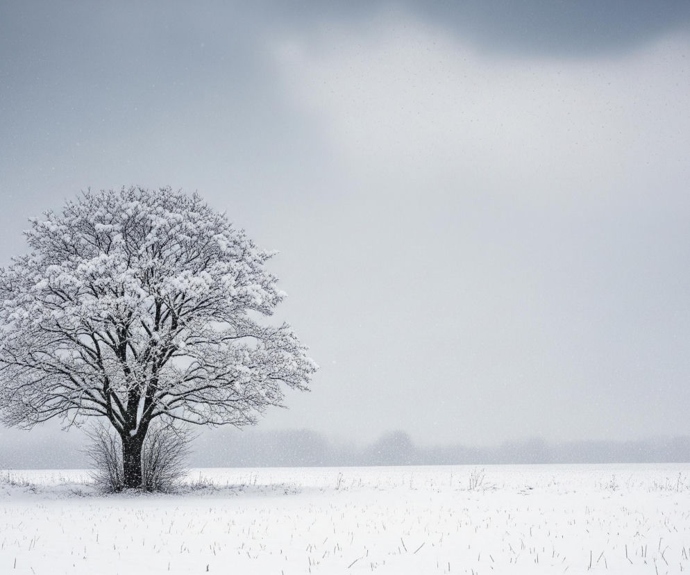 Powrót zimy do Polski. Ile centymetrów śniegu spadnie?