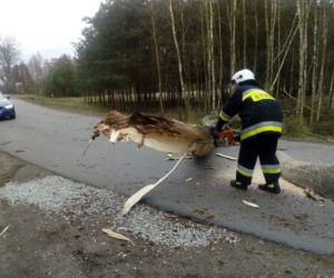 Konar drzewa spadł na ciężarówkę