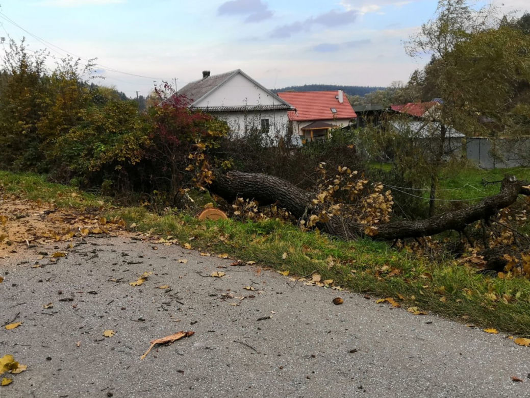 Leszczawa Dolna: na busa spadł konar drzewa! Wiatr powalił część 500-letniego dębu