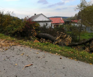 Leszczawa Dolna: na busa spadł konar drzewa! Wiatr powalił część 500-letniego dębu
