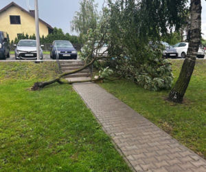 Groźne burze w Świętokrzyskiem (22.06.2026)