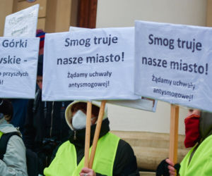 Przeciwko zabudowie Górek Czechowskich. „Strajk dla Ziemi” w centrum Lublina
