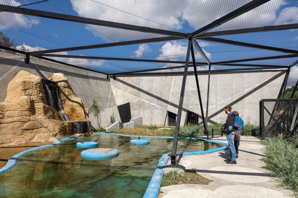 Rozbudowa ogrodu zoologicznego w Zamościu
