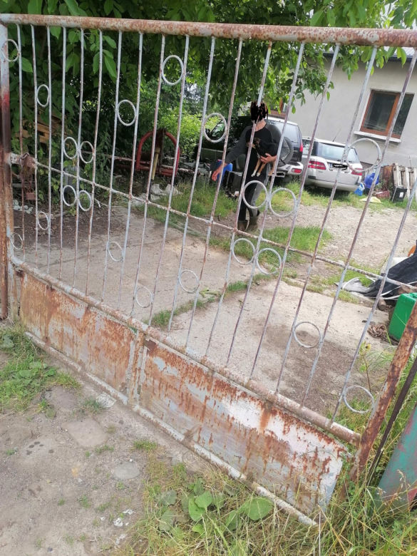 Inspektorzy OTOZ Animals w Bielsku-Białej odebrali osiem skrajnie zaniedbanych psów