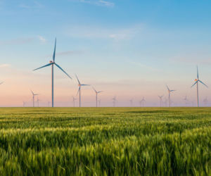 Dezinformacja uderza w energetykę wiatrową i bezpieczeństwo kraju