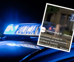 Naga kobieta biegała po mieście i zaatakowała strażnika. Szokujące sceny 