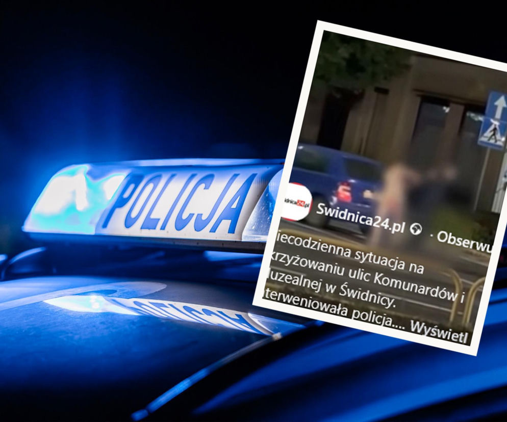 Naga 22-latka zaatakowała strażnika miejskiego. Kobieta trafiła do szpitala