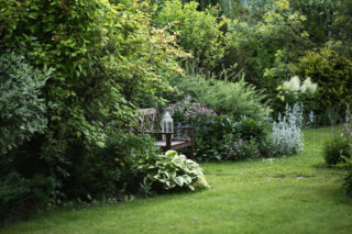 Nie czekaj latami na piękny ogród. Te rośliny urosną w oczach i stworzą go w krótkim czasie