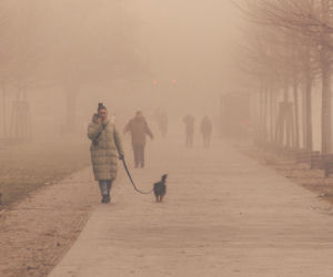 Mgła gęsta jak mleko. Do tego deszcz i śnieg. Pogoda nie odpuszcza!  