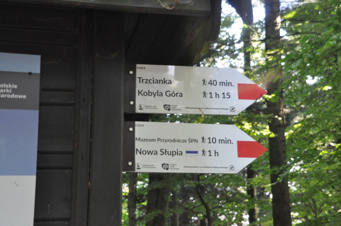Góry Świętokrzyskie. Łysa Góra i okolice