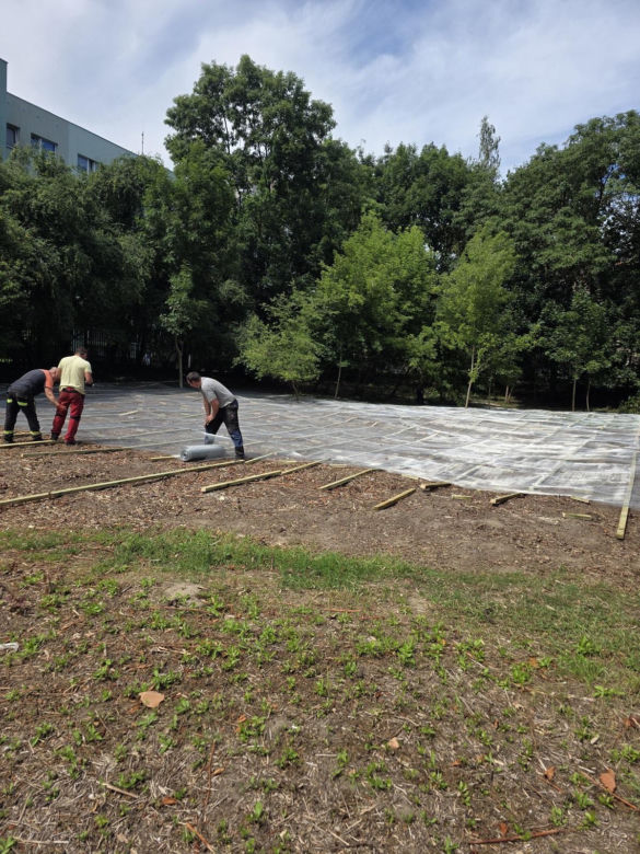 Walka z rdestowcem na Osiedlu Arkońskim