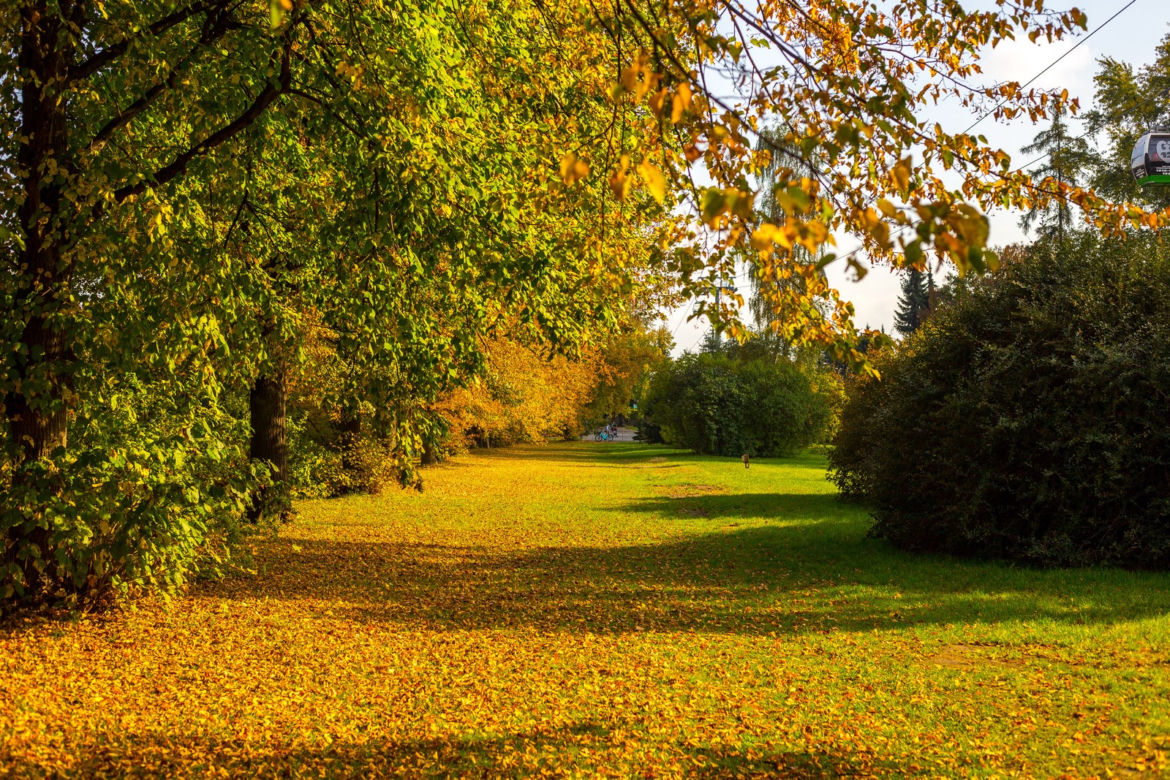 Park Śląski jesienią jest naprawdę piękny