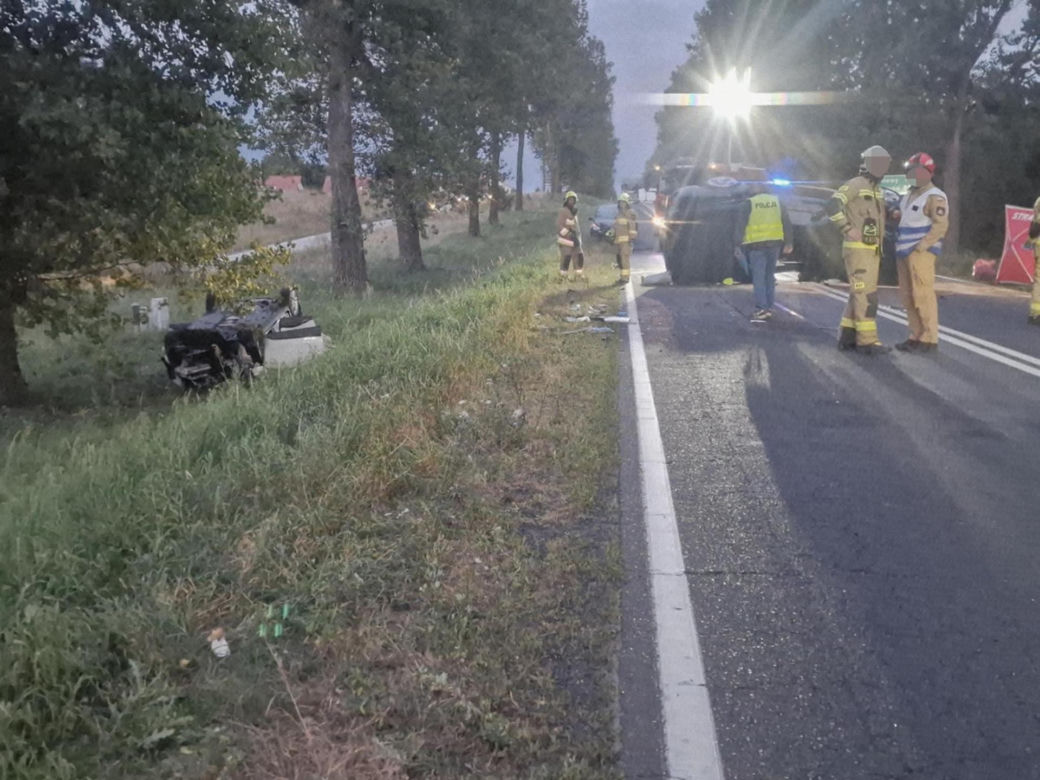 Przytoczna. Śmiertelny wypadek na DK 24. 49-latek nie żyje [ZDJĘCIA].