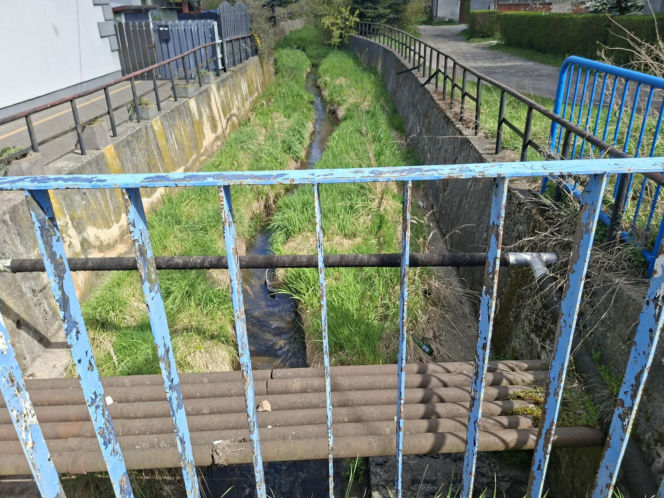 Nieznana substancja w rzece Kamiennej