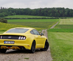 Ford Mustang GT 5.0 V8