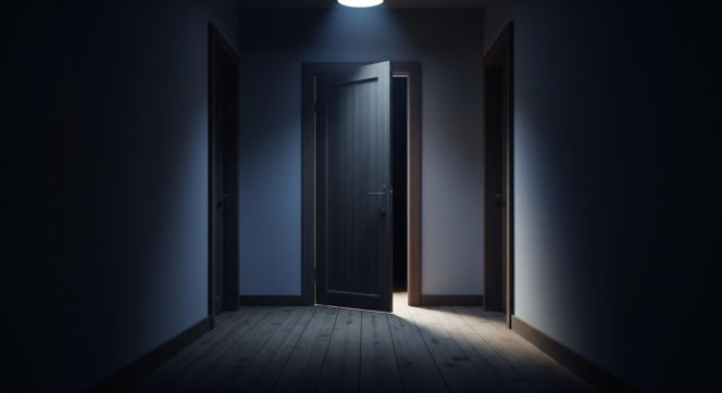 Kamera w mieszkaniu seniorki. Jaki finał spotkał złodziejki?