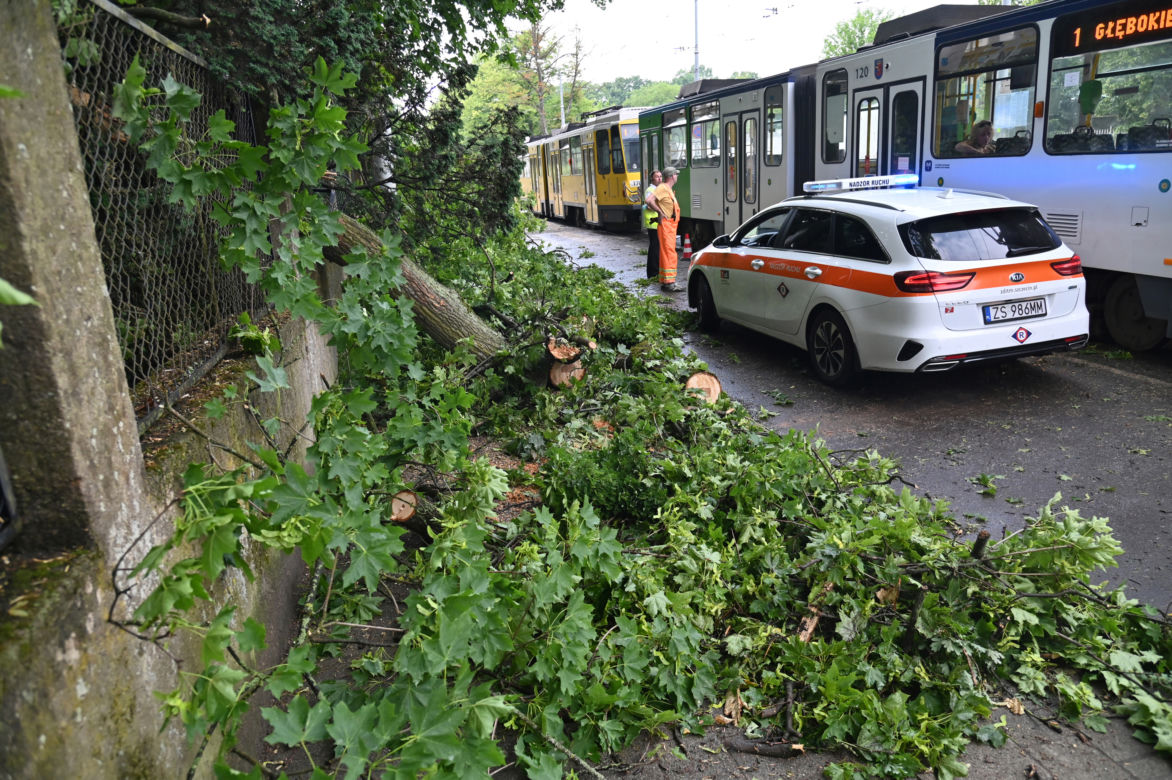 Szczecin: Zniszczenia po przejściu gwałtownej burzy
