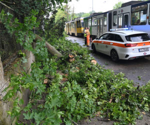 Szczecin: Zniszczenia po przejściu gwałtownej burzy