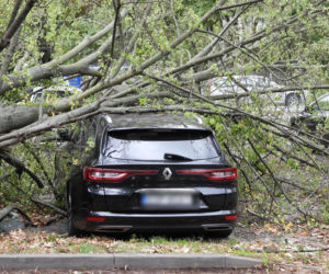 Potworne skutki wichury w Warszawie