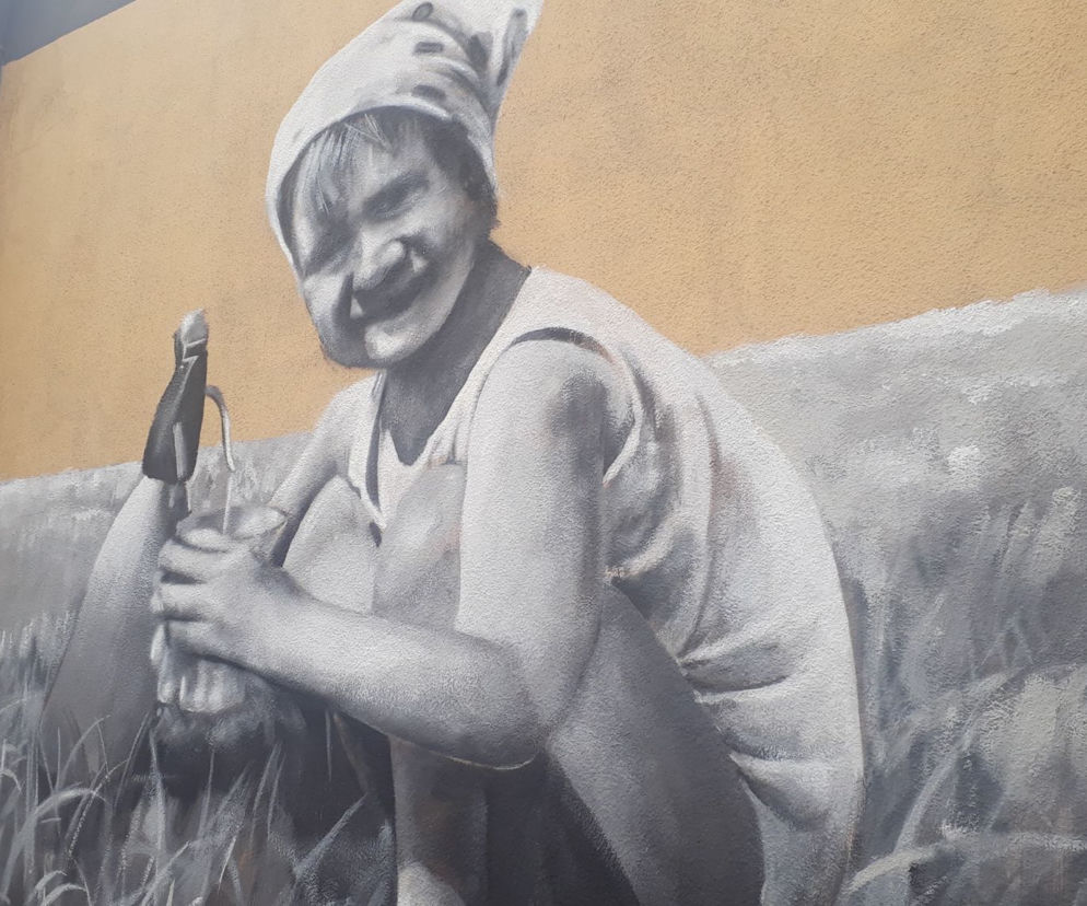 Nowy mural Andrejkowa w Rzeszowie