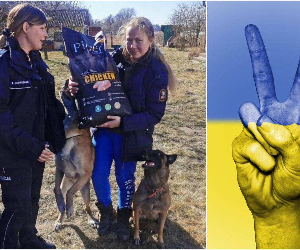 Policjantka z Charkowa uciekła przed wojną. Zabrała ze sobą rodzinę, 6 kotów i 2 psy