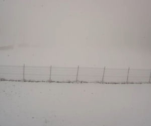 W województwie śląskim spadł pierwszy śnieg! Biały puch pojawił się w Beskidach 