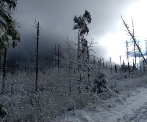 Zima zaatakowała w Małopolsce