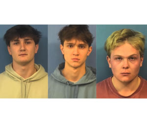 Nastoletni Polak wśród trzech oskarżonych o napaść seksualną na koleżankę