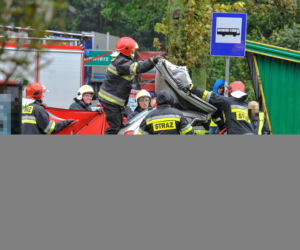 ŚMIERĆ POD TIR-EM PRZEWĄŻĄCYM ŚWINIE.