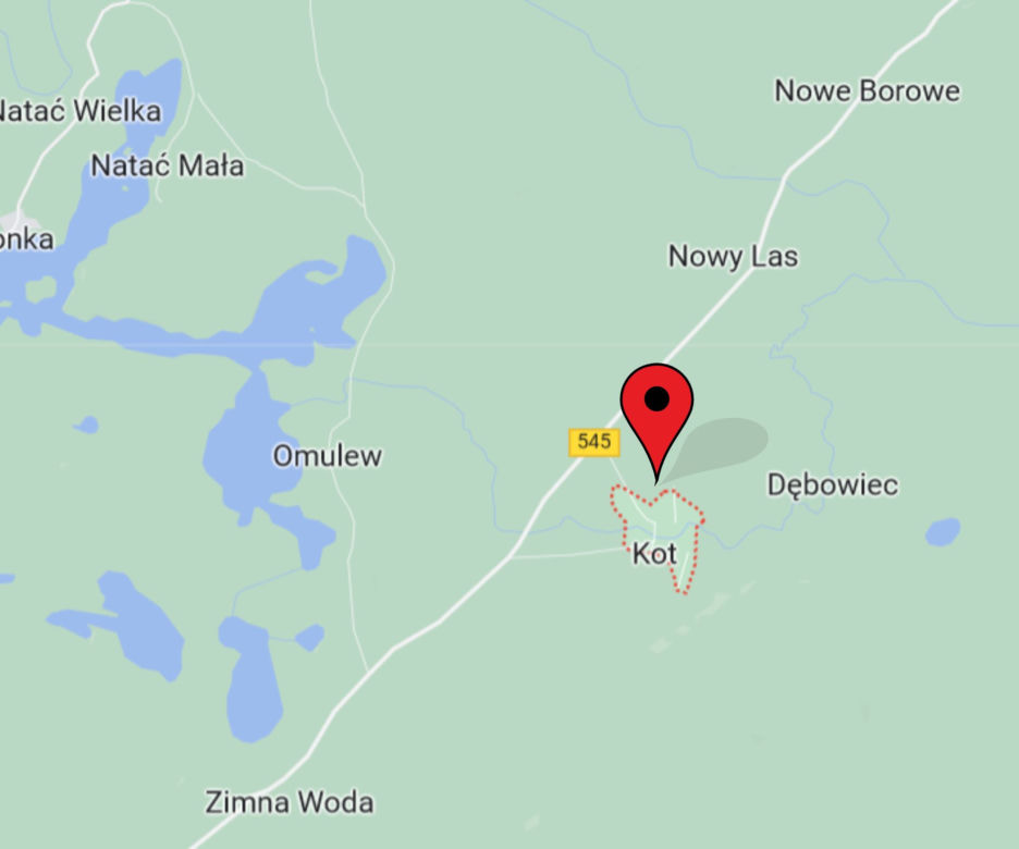 Kot