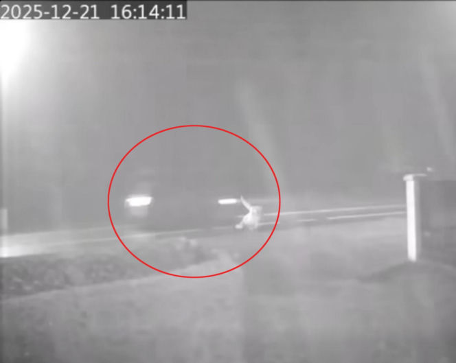 Dramat pod Krakowem. Seniorka czołgała się po jezdni, minęło ją kilkanaście samochodów