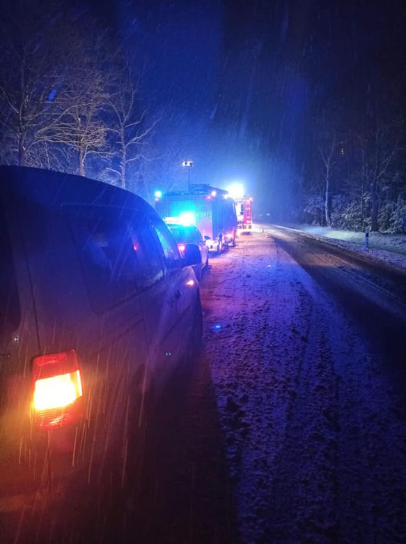 Dukt. 35 świń zginęło w męczarniach! Przygniotły się nawzajem po wypadku MAN-a [ZDJĘCIA]