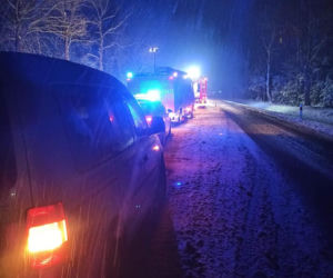Dukt. 35 świń zginęło w męczarniach! Przygniotły się nawzajem po wypadku MAN-a [ZDJĘCIA]