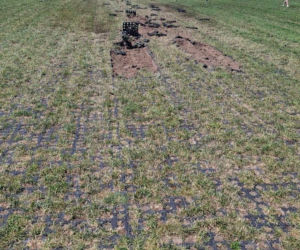 Incydent podczas treningów przed pokazami Antidotum Airshow w Lesznie. Samolot wylądował bez podwozia