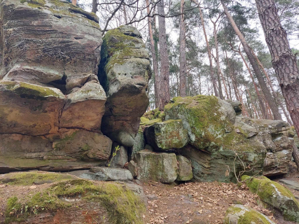 Rezerwat Przyrody "Skały pod Adamowem"