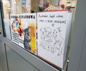 Szyją śpiwory dla koali i kangurów