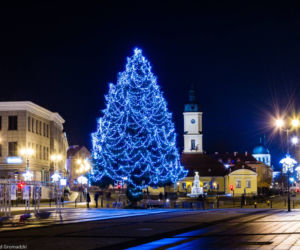 Najpiękniejsze choinki są w Białymstoku?