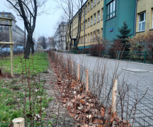 Tak zmienia się Praga-Północ