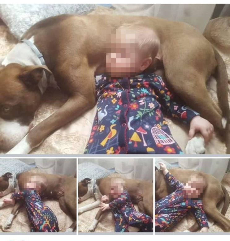Nie usypiajcie Katalai