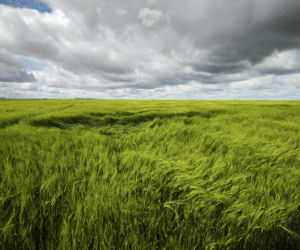 Pogoda na majówkę w Lesznie 2026