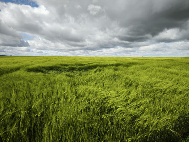 Pogoda na majówkę w Lesznie 2026