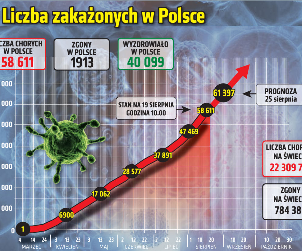 Koronawirus w Polsce. Statystyki, wykresy, grafiki (19 sierpnia)