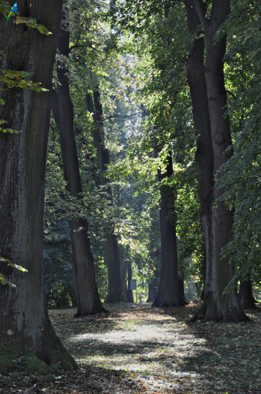 Park Książąt Pomorskich