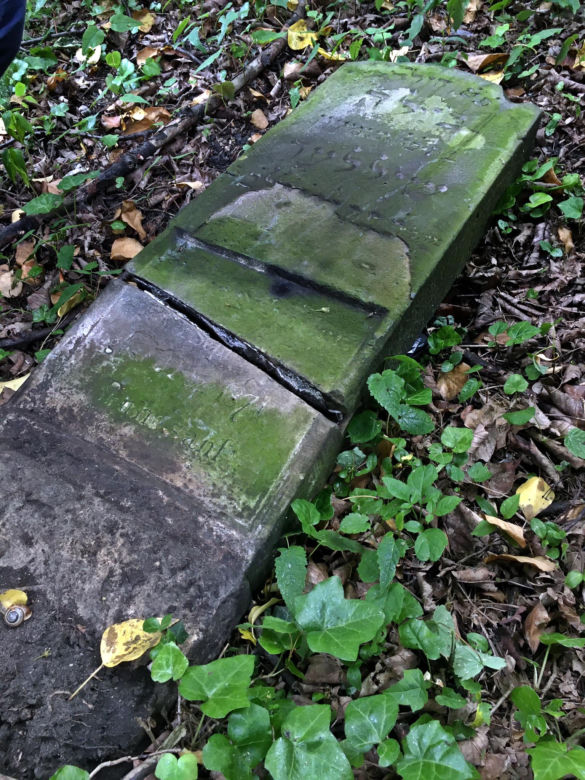 Zdewastowali zabytkowy cmentarz. Wandale zniszczyli 26 nagrobków