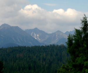 To jedna z najpiękniejszych wsi w Małopolsce. Już sto lat temu była rozchwytywanym kurortem turystycznym
