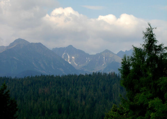 To jedna z najpiękniejszych wsi w Małopolsce. Już sto lat temu była rozchwytywanym kurortem turystycznym